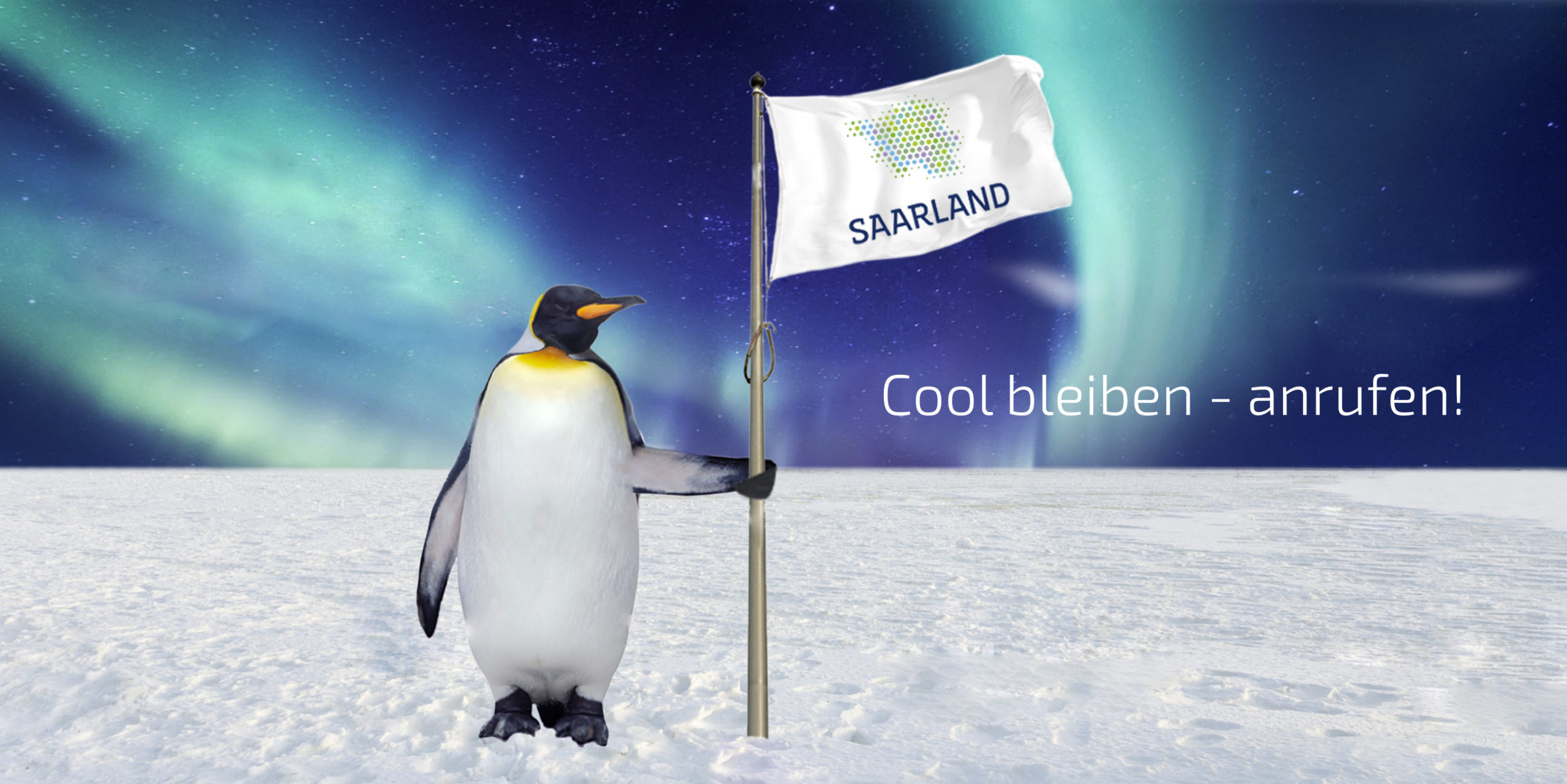 Pinguin mit Saarlandflagge
